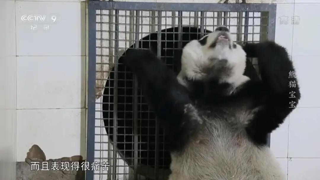 記錄頻道 /cxyq/20200415093651-FrkkcO0k6K-0GBb0KBhBS3f41vlZ.jpg