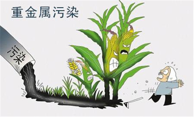 重金屬土壤危害 /cxyq/20221121084750-FjUbOk5VkzNdwrNonemRZZ4Giks0.png