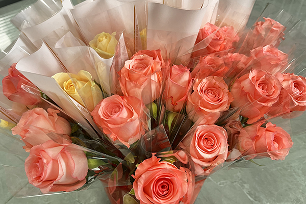 鮮花 /cxyq/20240308103630-FoAQvl5pr-OuaPIdCeXo7qS9ifqt.jpg